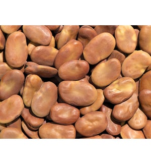 Dry Large Whole Broad Fava Beans (Bajella) "Royal